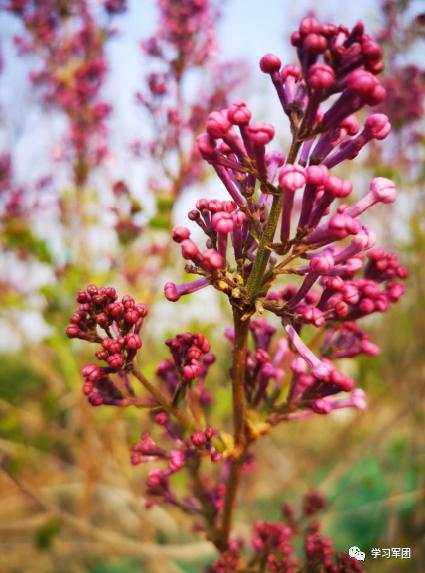 晚间悦读|运动是最好的“抗病良药”！（附各年龄段运动方案）