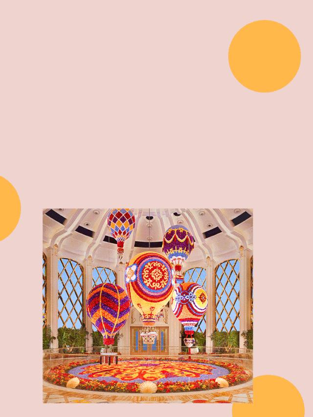 集美们冲啊，今年去澳门可太赚了