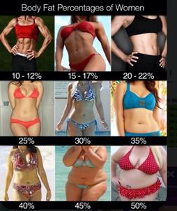 冷知识美人计,美人计的基础知识