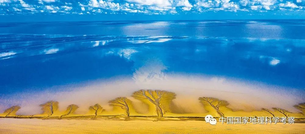 中国少年营新疆站报名,中国少年营报名