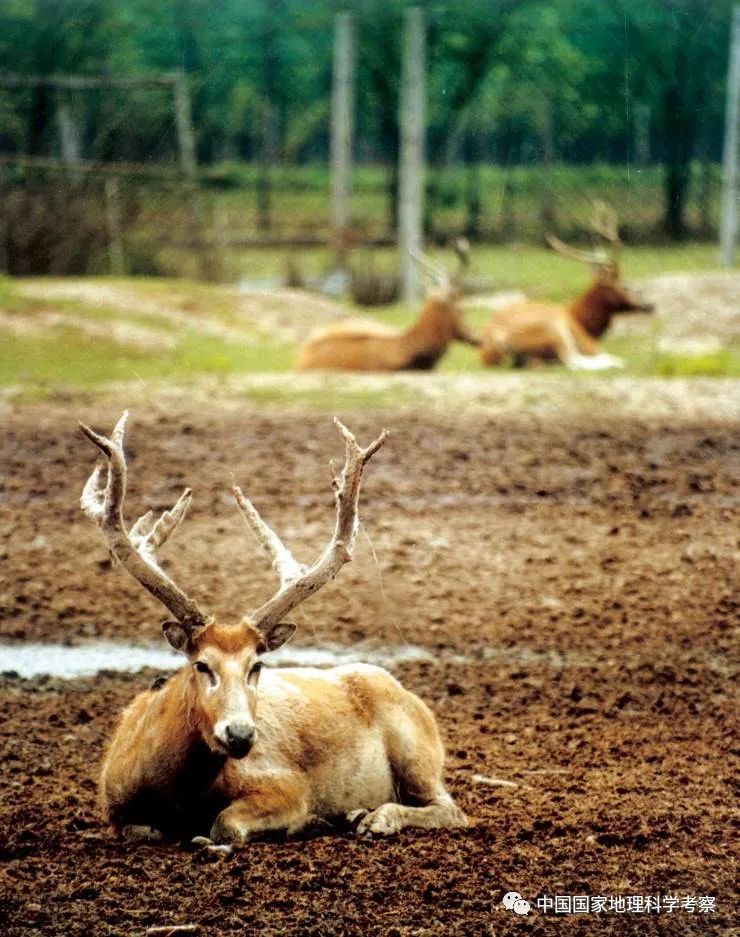中国少年营新疆站报名,中国少年营报名