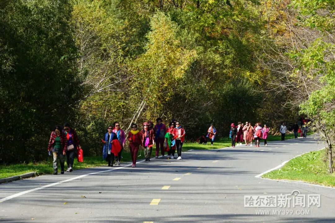 看万山红遍层林尽染全文图片,看万山红遍层林尽染全文朗诵