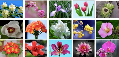 有一种美叫花园庭院,2021年国庆节天安门漂亮花坛图片