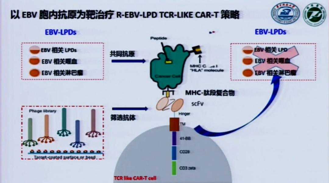 周剑峰博士,慢性活动性eb病毒感染诊断标准