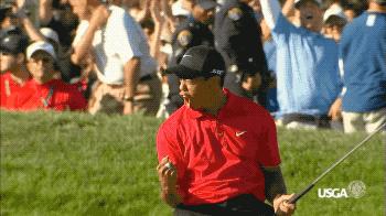 老虎用什么推杆,老虎最经典推杆