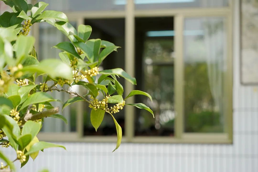 滨江多思创新学校,滨江学校全部排名