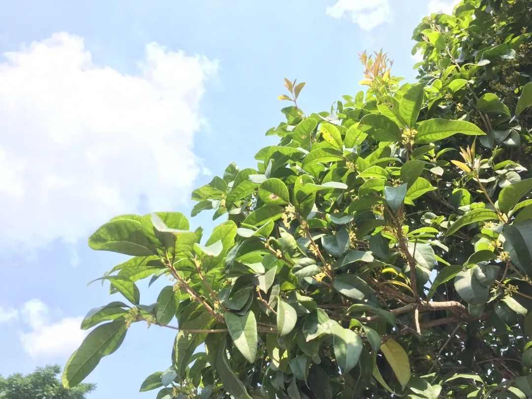 滨江多思创新学校,滨江学校全部排名