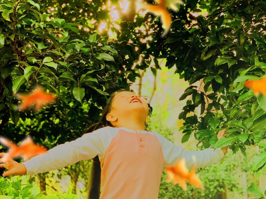 滨江多思创新学校,滨江学校全部排名