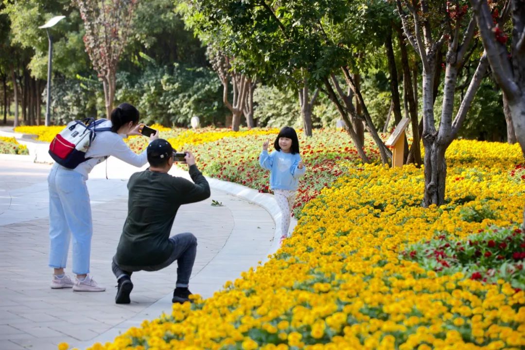 亦庄周边有没有好玩的公园,北京亦庄新城旅游