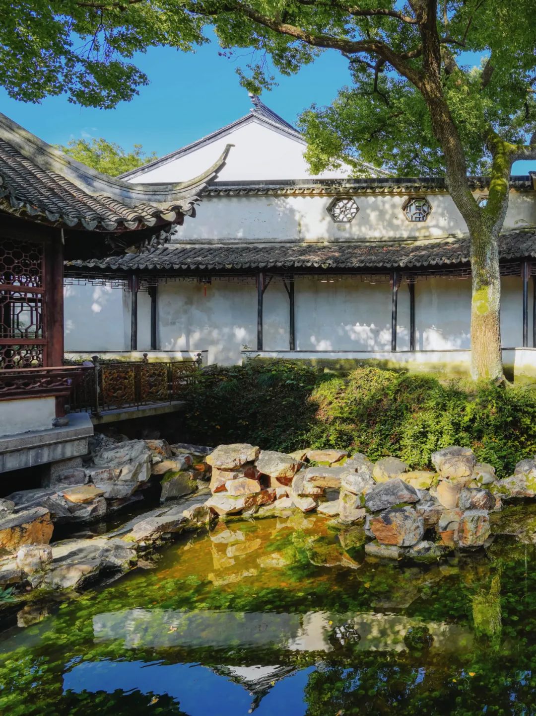 苏州是一座什么样的城市,苏州是一座美丽的城市