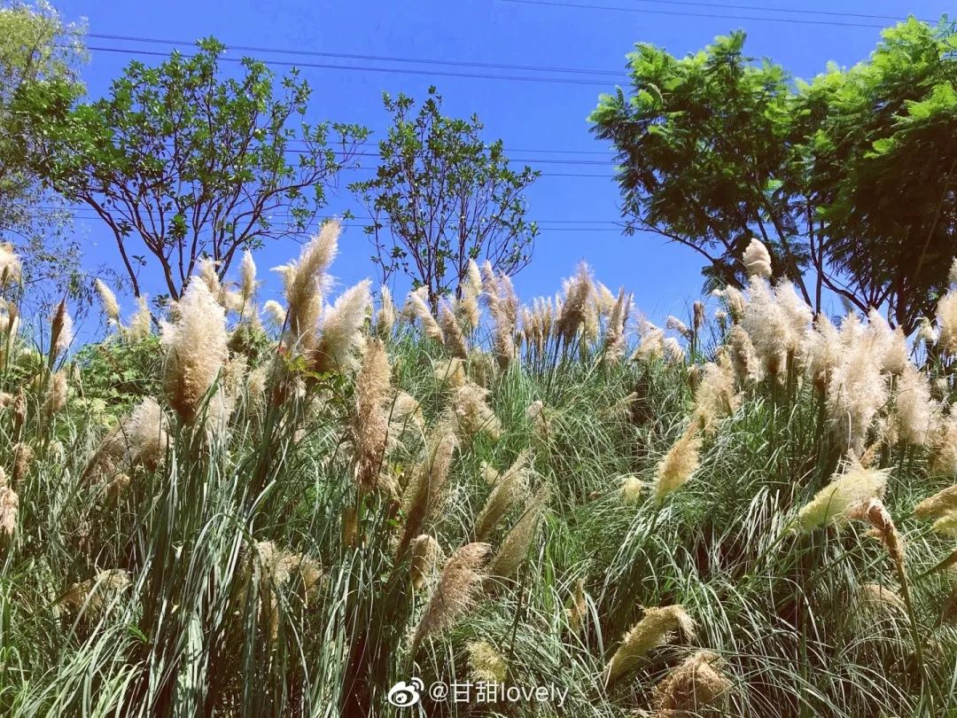 5条乡村游路线等你来打卡,国庆节乡村旅游打卡