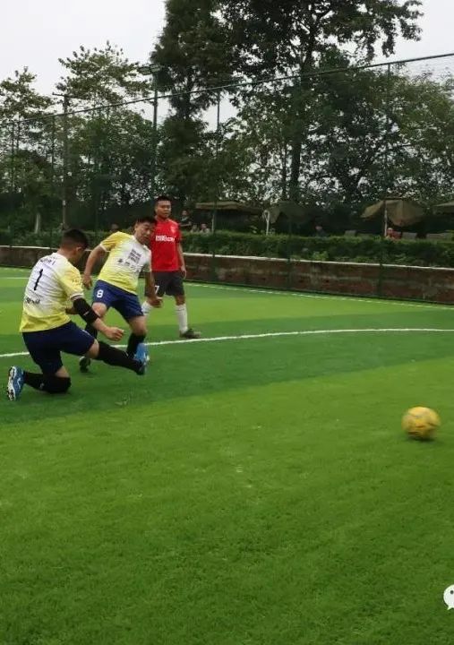 青白江足球场推荐,青白江特色风景