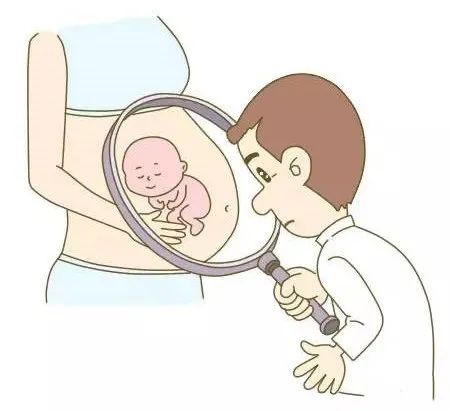 阴超和腹超有多少误差,阴超和腹超价格一样吗