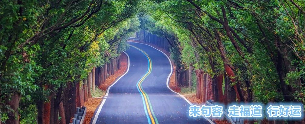 新时代文明实践志愿服务集市开集,新时代文明实践志愿服务授旗仪式