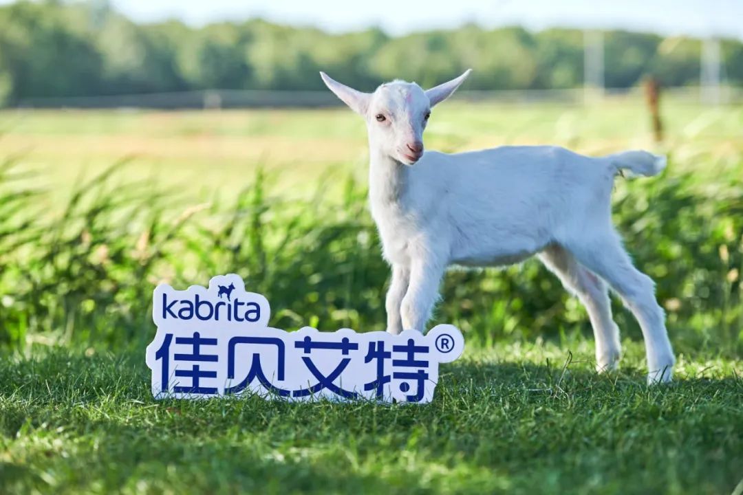 李轶旻,佳贝艾特总经理李轶旻学历