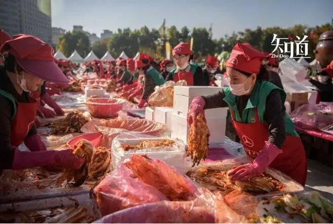 一棵白菜卖天价,一棵白菜卖到100多