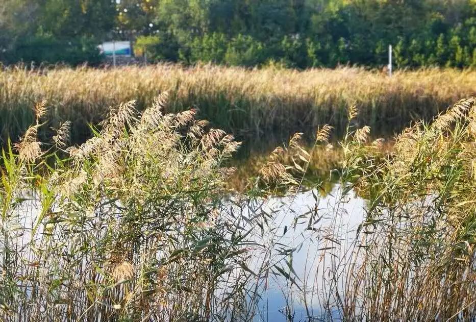 赏秋小众景点推荐,川西赏秋旅游景点
