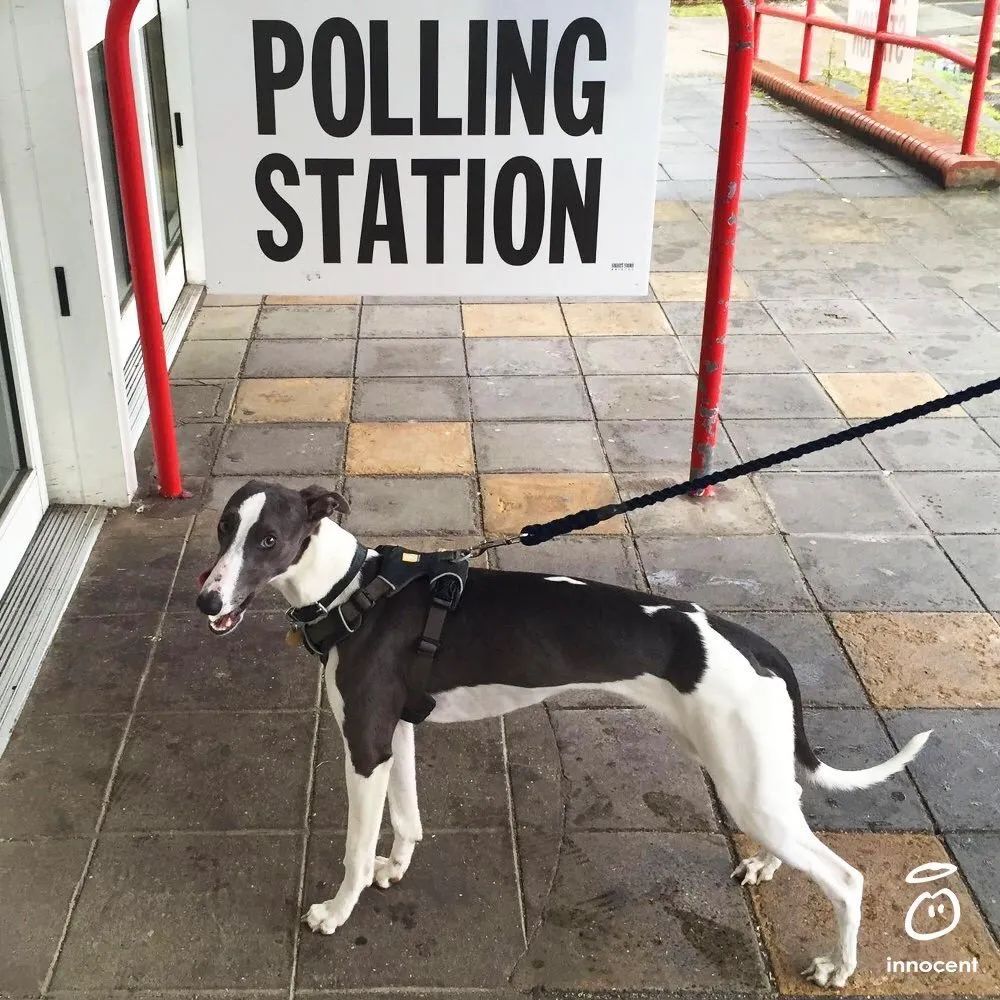 每年冬天，这群人为什么要给果汁瓶戴上毛线小帽？