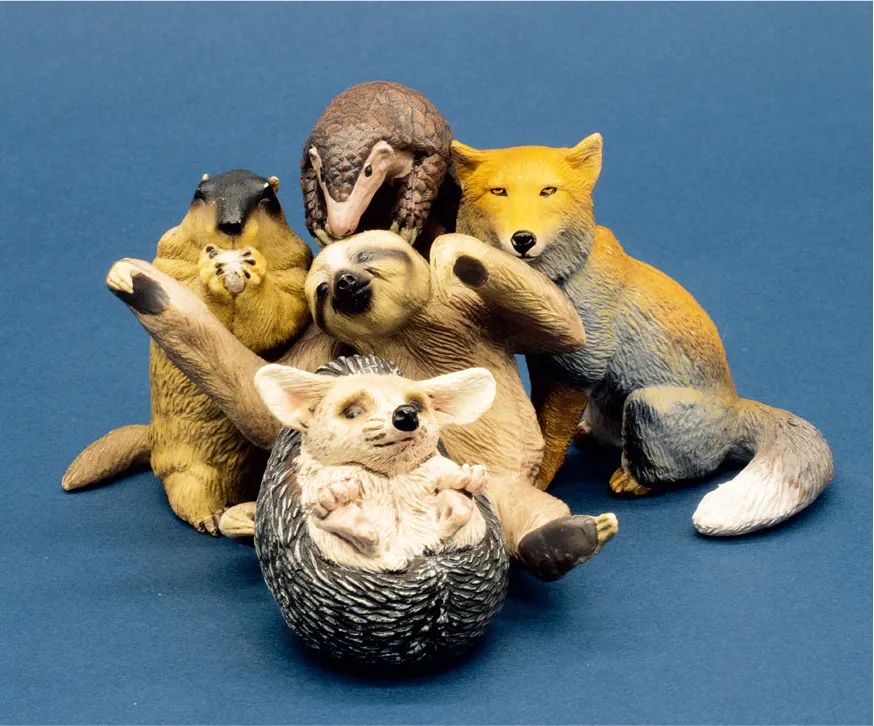 中国国家地理摄影展,中国的国家地理