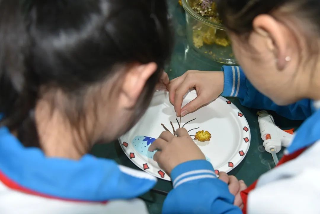 大邑县城里最好的小学,大邑小学有哪些