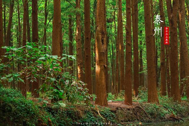 泰州水城有什么好玩,水城泰州