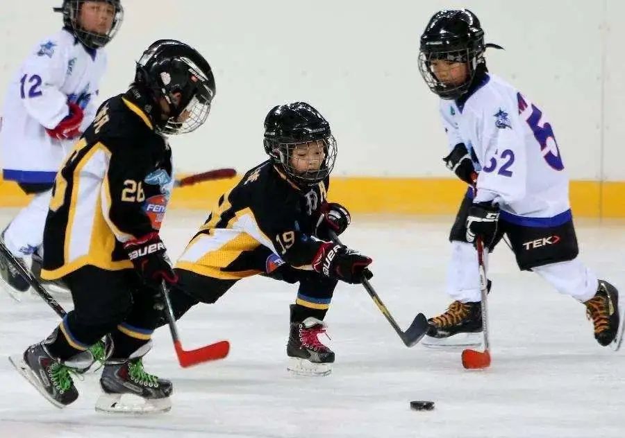 运动训练与竞赛是什么,运动训练与竞技能力