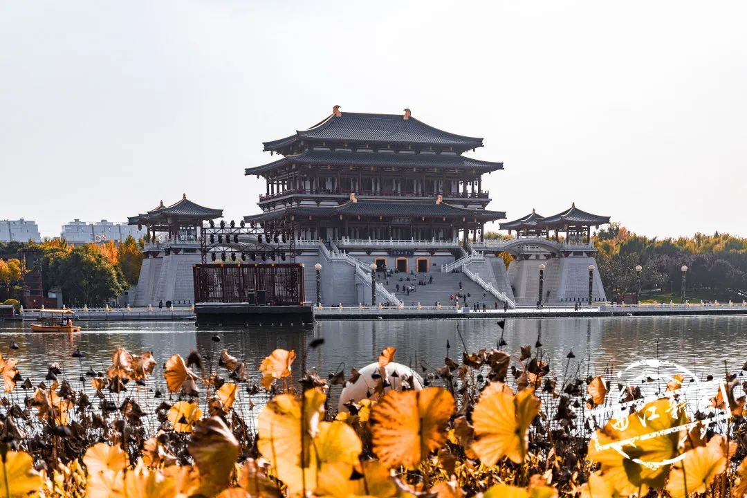 曲江秋天风景,曲江的秋色