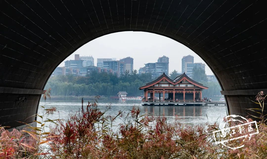 曲江秋天风景,曲江的秋色