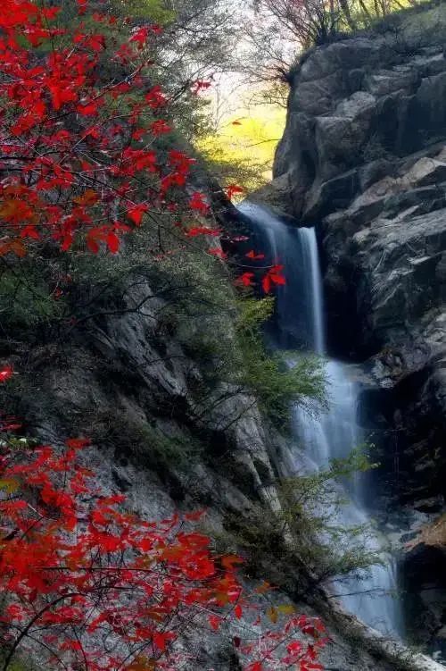 曲江秋天风景,曲江的秋色