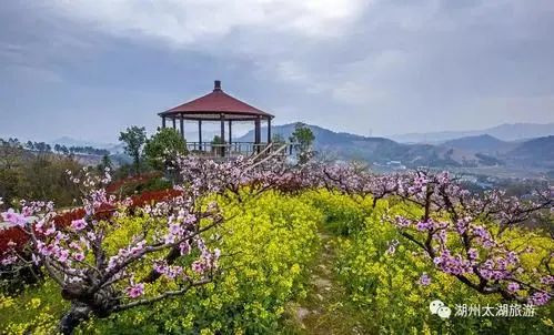 浙江有个湖州市吗,浙江是不是有一个地方叫湖州市