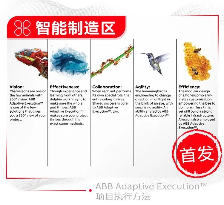 ABB的上海情缘:汇聚全球创新,赋能产业升级