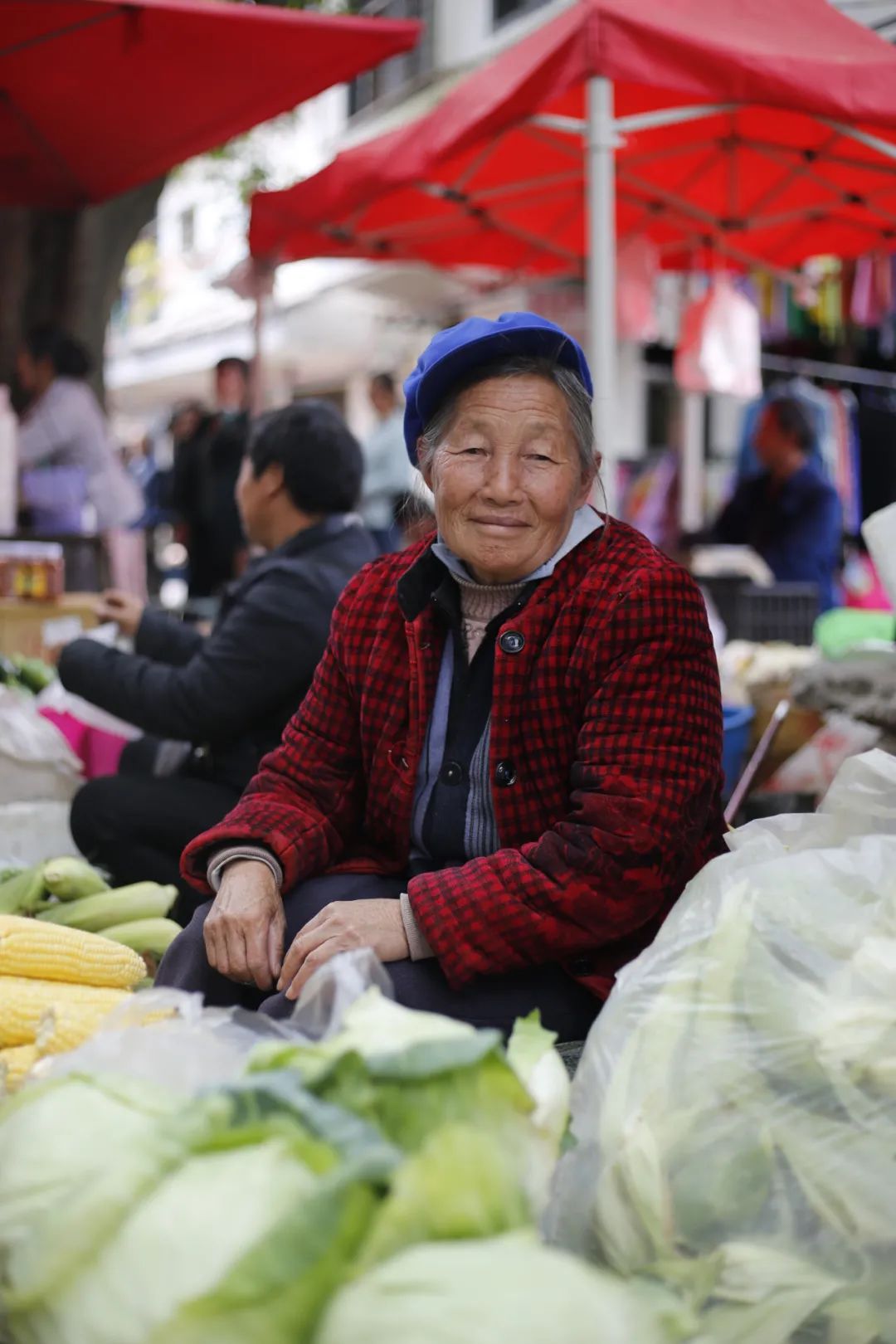 东方巧克力,东方巧克力滋补养生