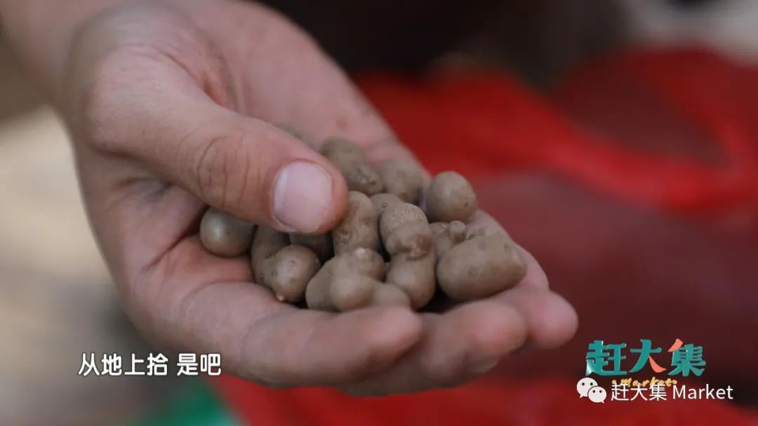 天津都市频道赶大集宁河,天津都市频道赶大集卷凉皮