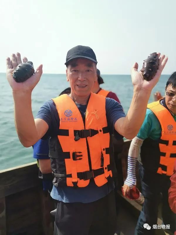 烟台精品野海参多少钱,荣成海洋牧场海参