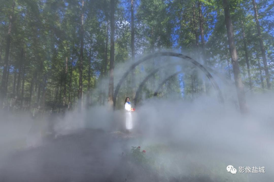 盐城发色,盐城代表颜色