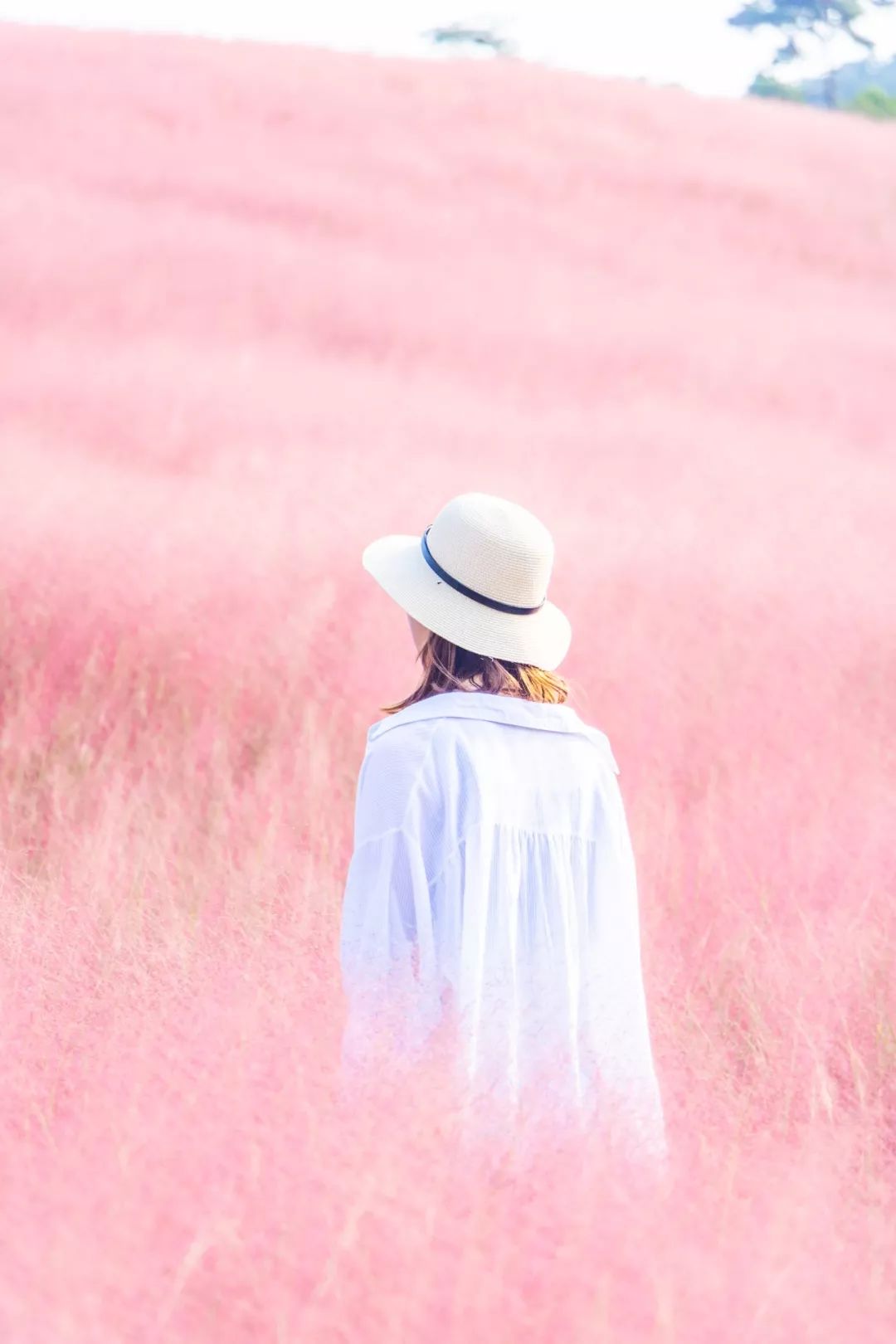 盐城发色,盐城代表颜色