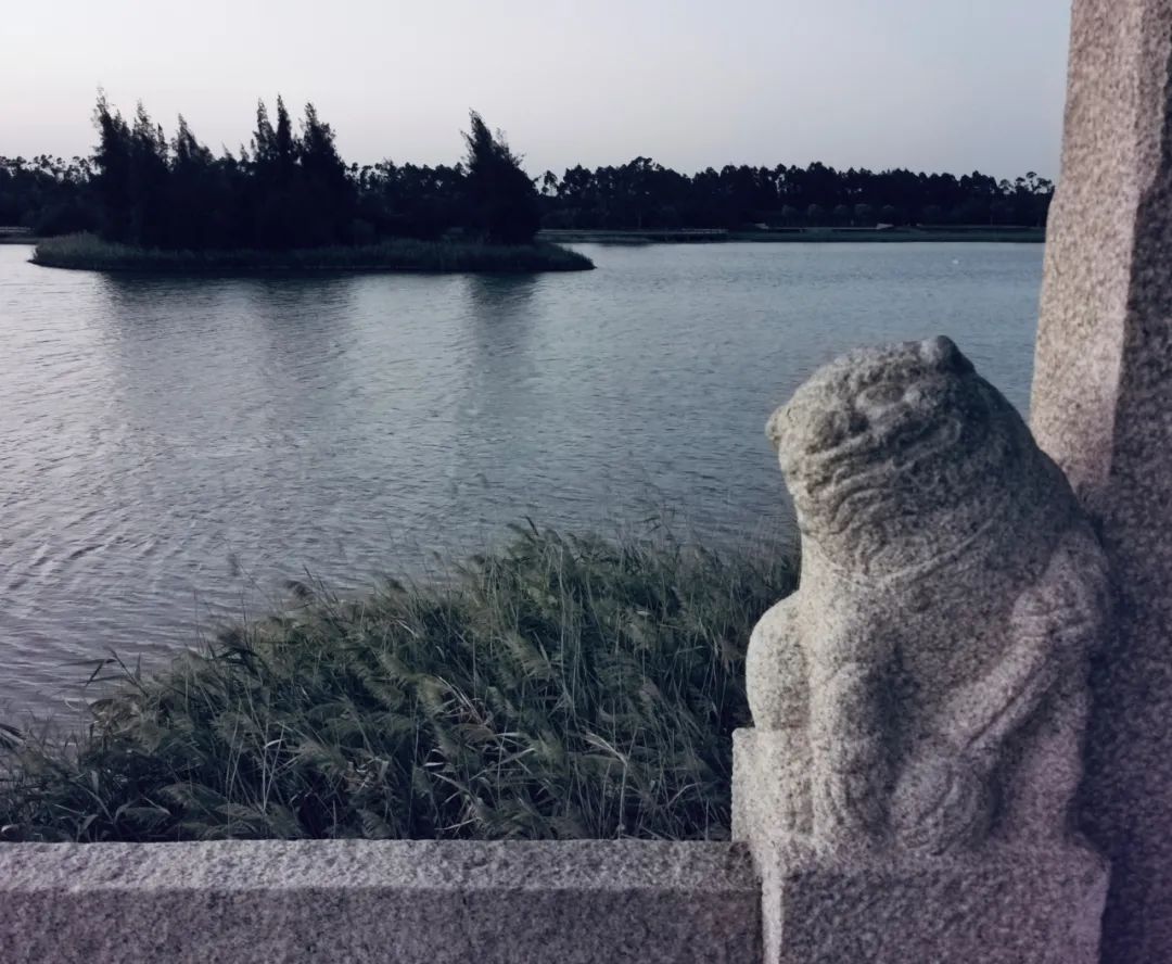 千米老街竟有16处宋元遗迹,上百条古巷飘香,这宝藏小城也太低调了「459集」