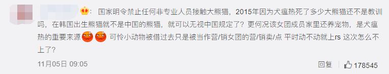 韩国艺人摸熊猫,韩国大熊猫被抓着拍视频