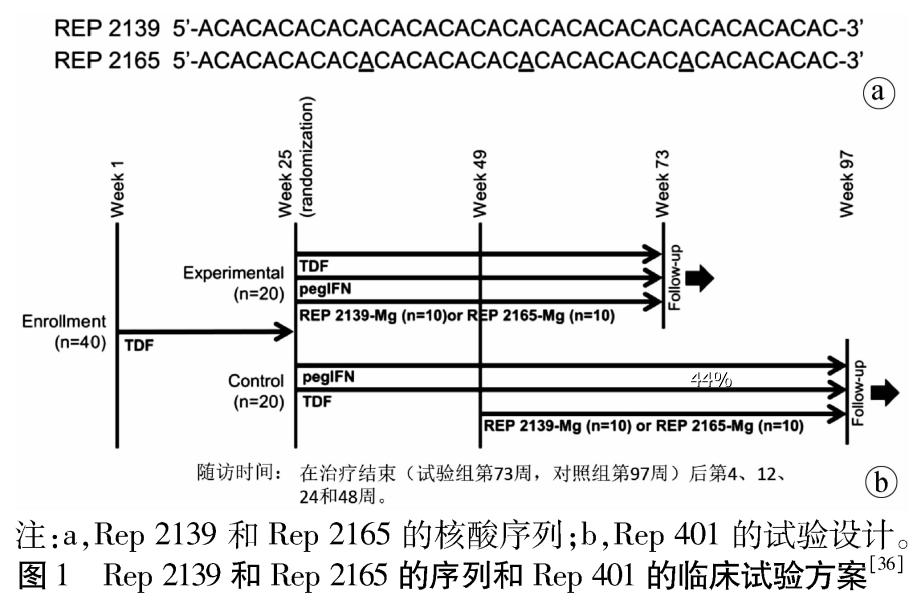 乙肝在研新药gsk836临床数据公布,抗乙肝新药hh-003二期临床招募