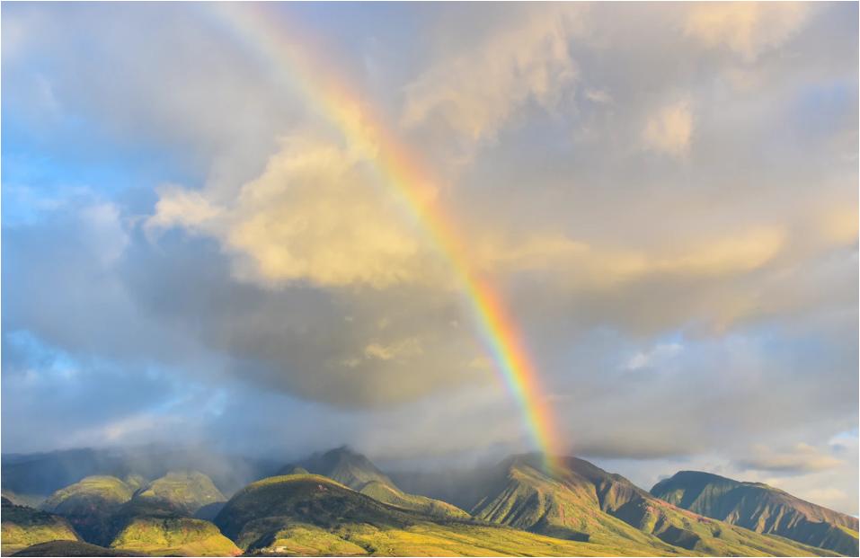 活性污泥出现问题的几种现象,关于活性污泥法的一些问题