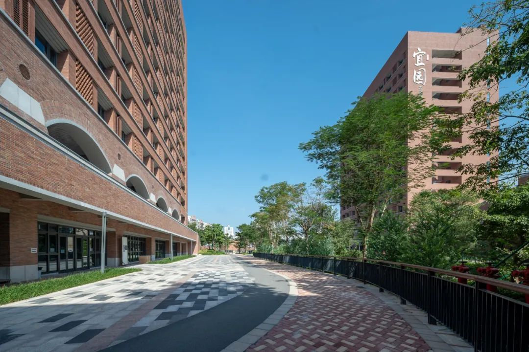 凤凰木守护的校园|深圳中学（泥岗校区）