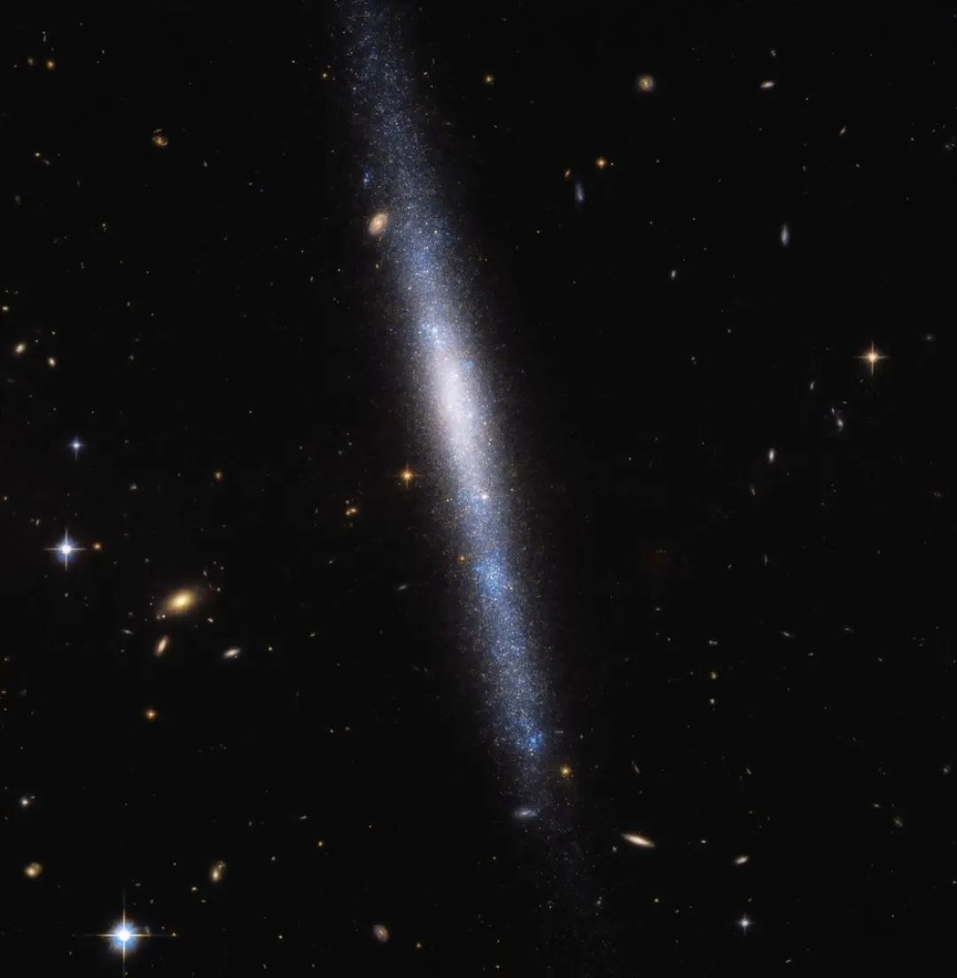 金牛座流星雨直播,金牛座流星雨洒满天际