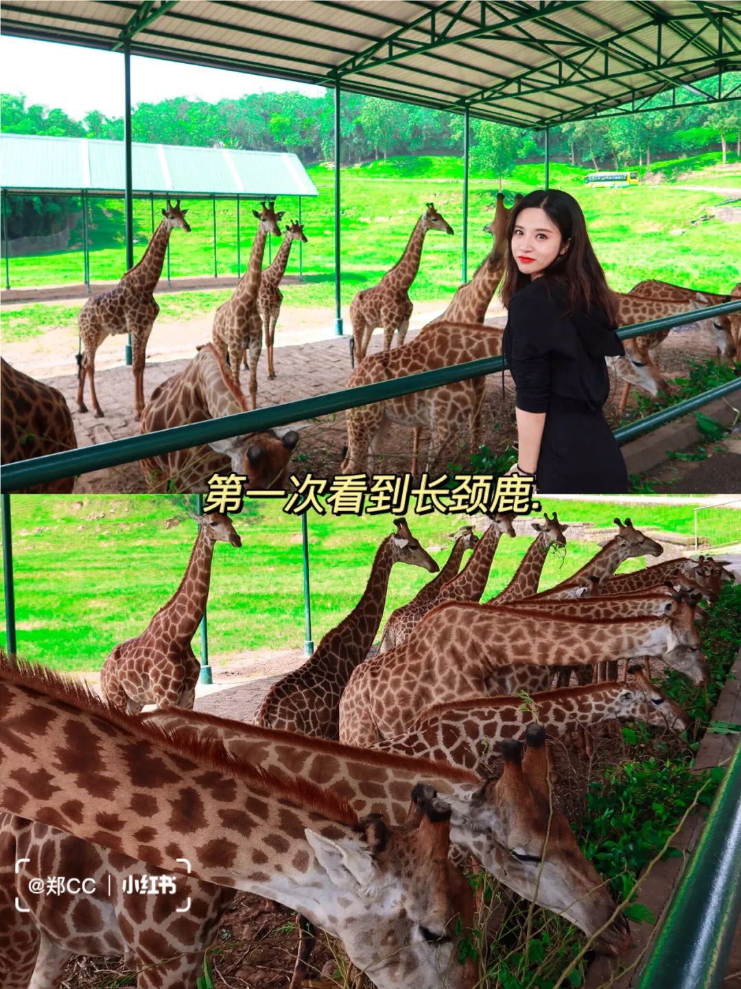 去重庆必打卡的游乐场,重庆海陆空大世界游乐园