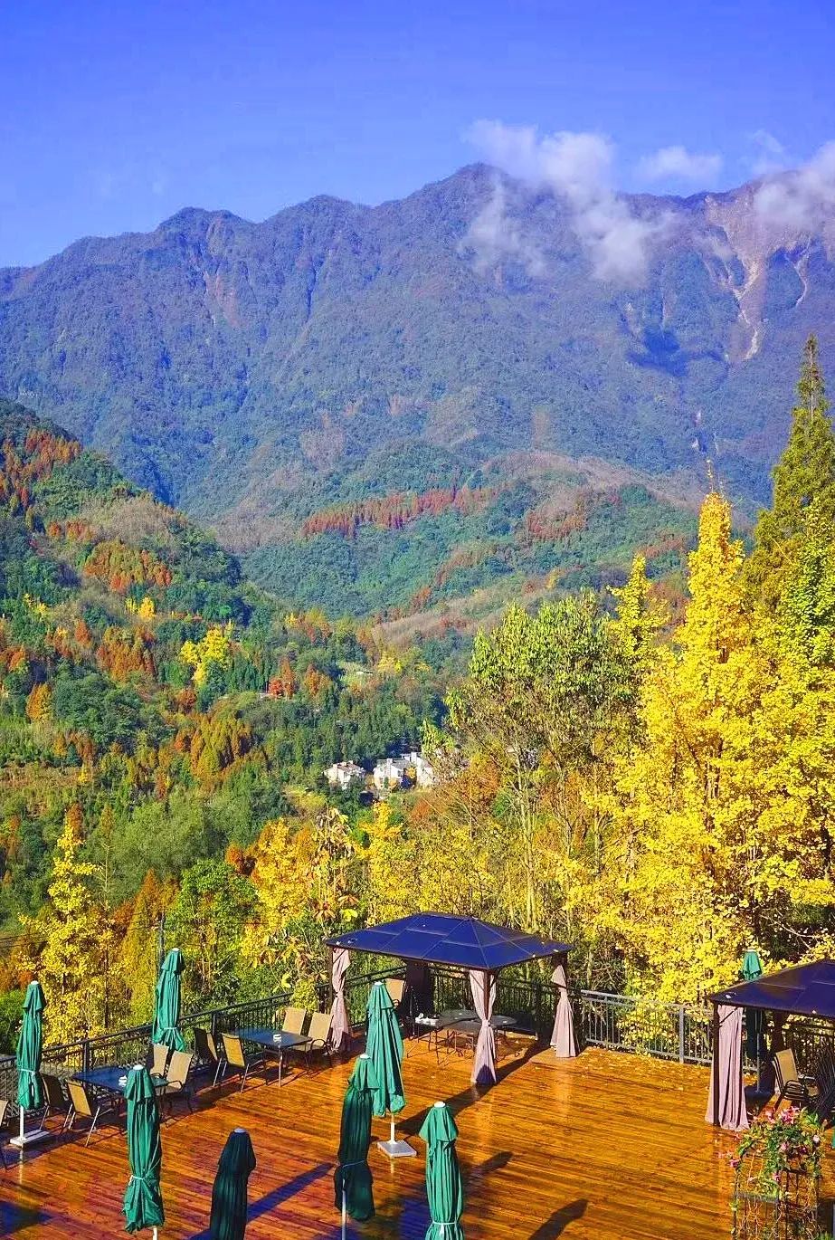 初秋彩林成都周边秘境,成都附近彩林秘境