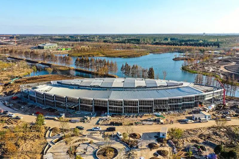 【提示】两棵“大树”迎宾！花博园主入口大门钢结构吊装完成