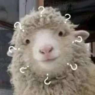 没有铅芯的铅笔,2b铅笔为什么要叫2b铅笔