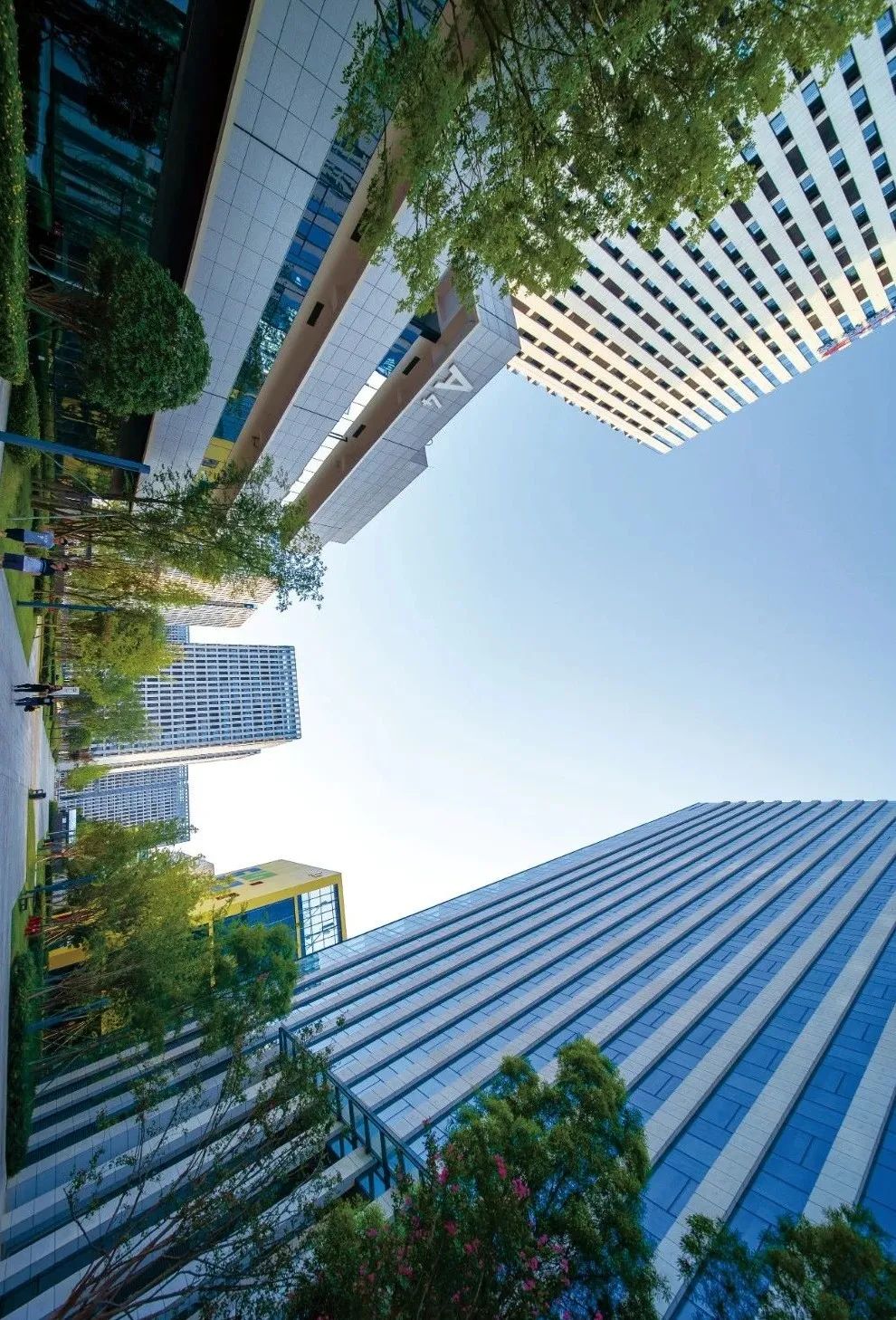 你好，这里是中和