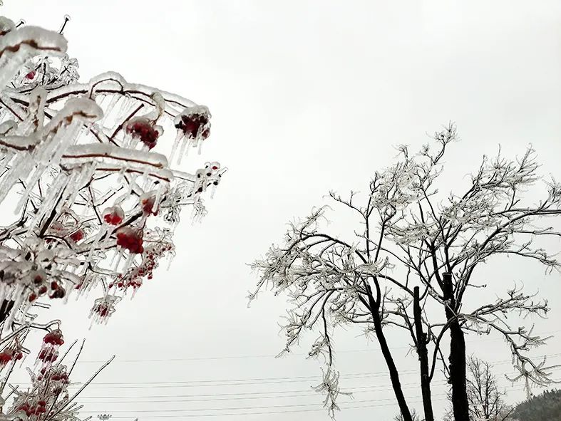 延边滑雪东北已率先进入雪季,延边开启滑雪季快来嗨翻冬天
