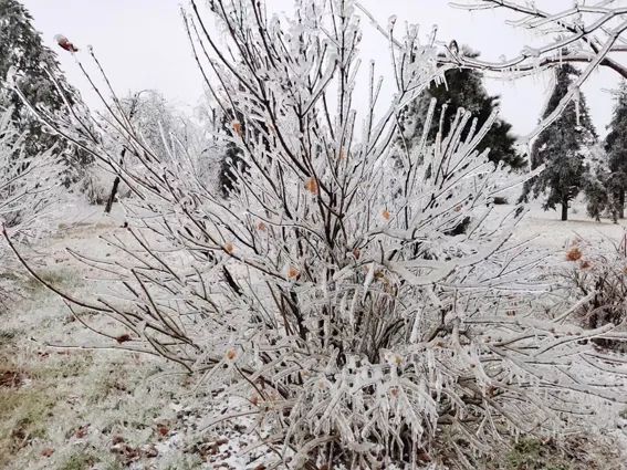 延边滑雪东北已率先进入雪季,延边开启滑雪季快来嗨翻冬天