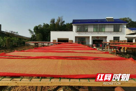 益阳市赫山区泉交河镇恩塘村,赫山区泉交河恩塘